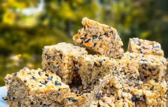 Toasted Marshmallow &  Brown Sugar Rice Krispie Treats